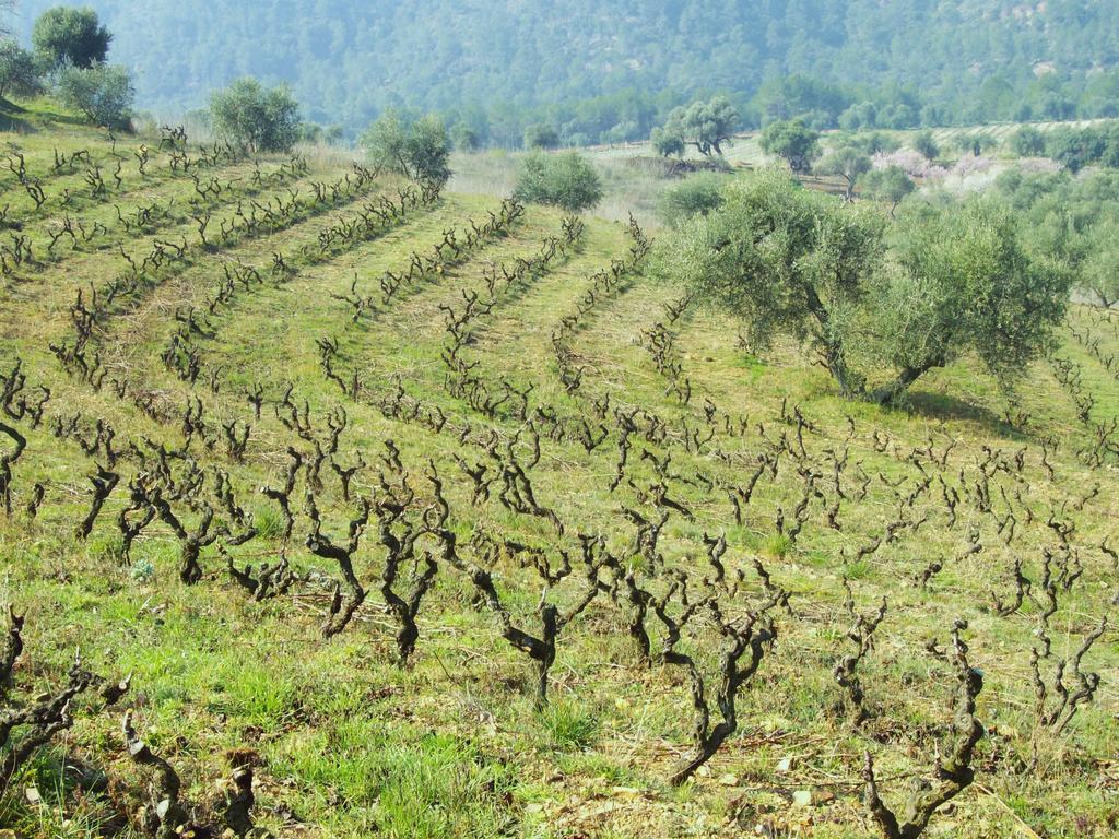 Mas Figueres Βίλα Marsá Εξωτερικό φωτογραφία